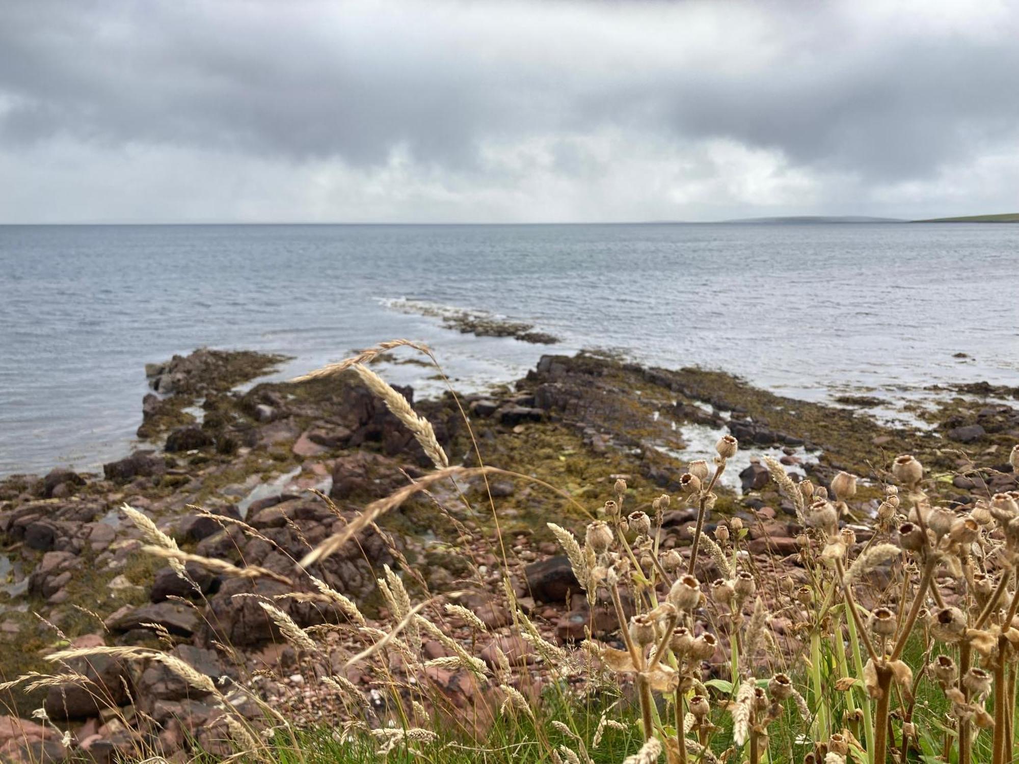 The Ruah - Clifftop Retreat Whitehall 外观 照片